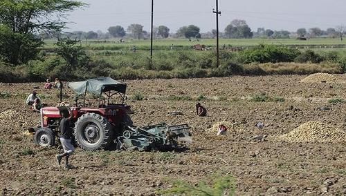  [印度]印度粮食产量仅中国一半，为何能养活同等人口，还大量出