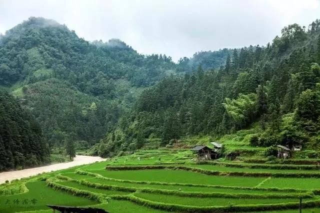  老桥@52岁的他为健康养老，跑大山里盖木屋，过上让人艳羡的生活