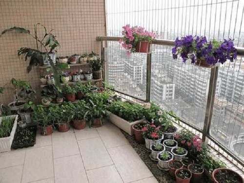 [枯萎]春天养花，很多人都忽视此“3个小细节”，难怪花卉会黄叶枯萎！