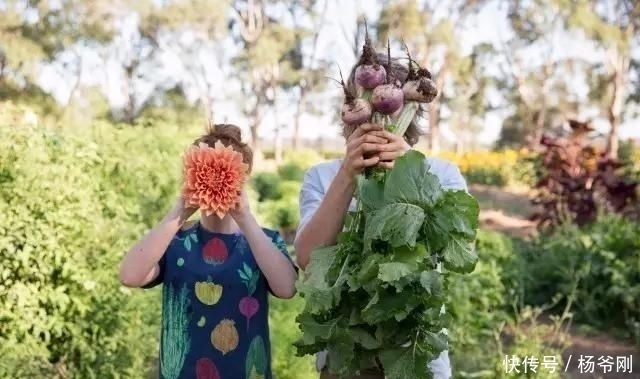  蔬菜：下半生，和爱的人一起养花种菜可好