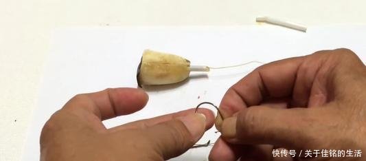  [配方]老白常用饵料配方，玉米粒和香蕉，草鱼钓到爆护！