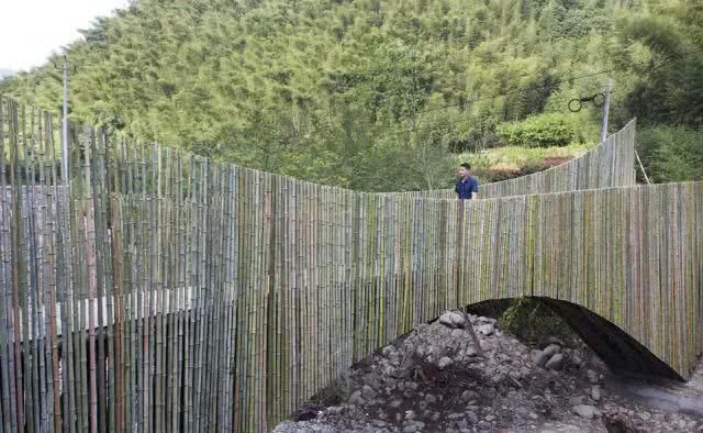 自成风景：20个极具创意的“桥”