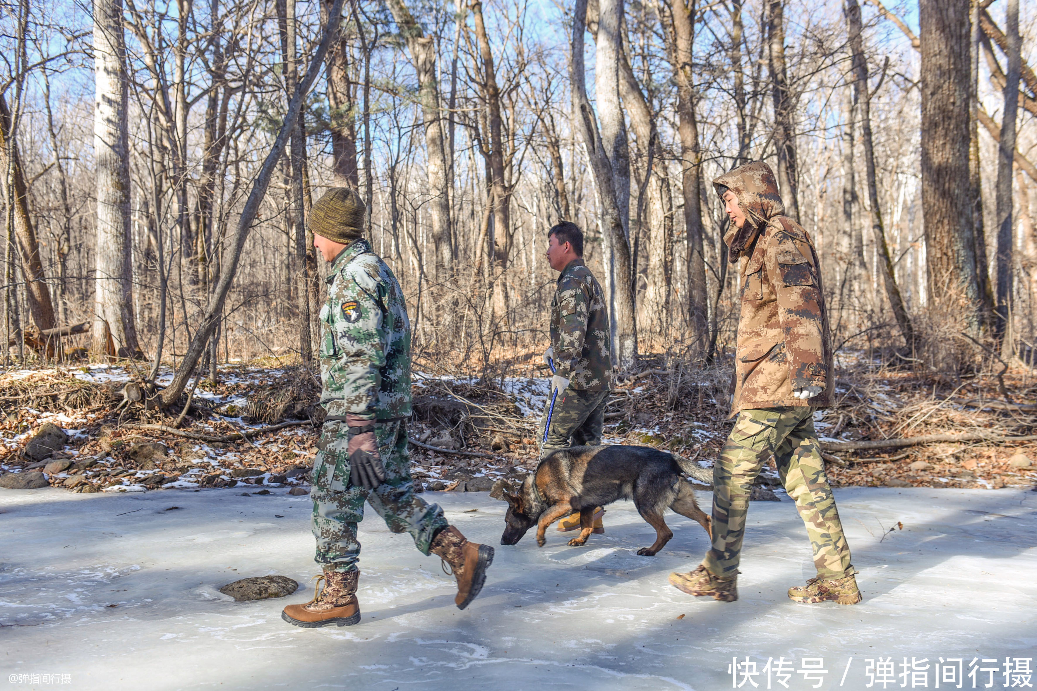 在-35℃的山林巡护，他们的工作为长白山带来什么？看完你会感动