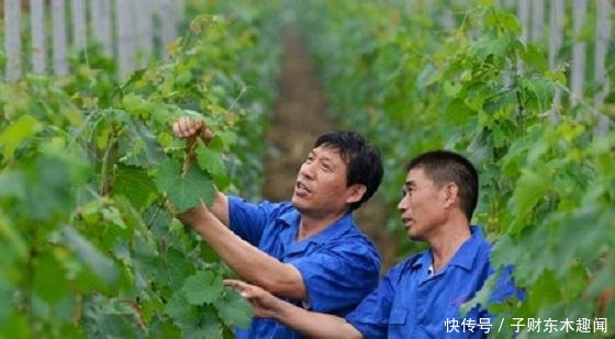 在农村，这“三类”人属于有钱人，几乎村村都有，看看有你吗