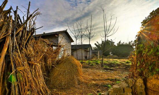 农村宅基地国家政策都有哪些 农村宅基地管理