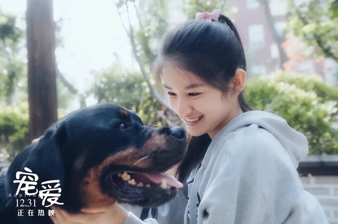 宠爱票房破3亿
