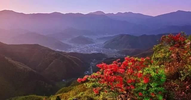 春天深呼吸,安吉来“氧”你!2020年三八女神节,可以来安吉旅游啦【2020热门旅游景点】