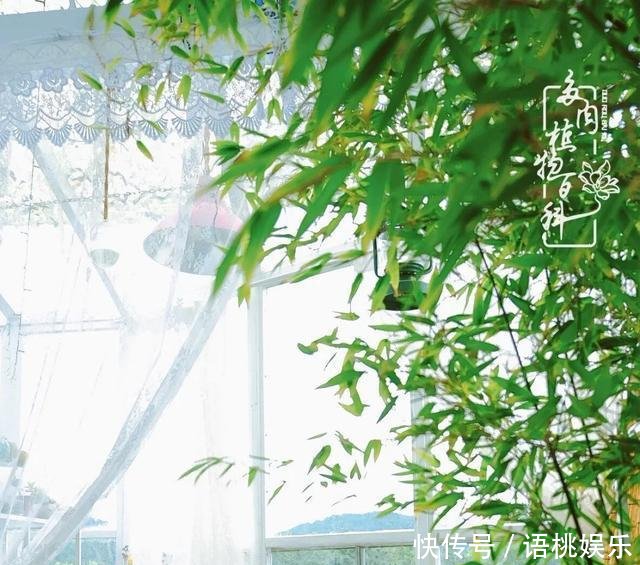  #喜欢#一粥一饭填饱肚子，一屋一花神仙日子！生命不止，玩趣不停！