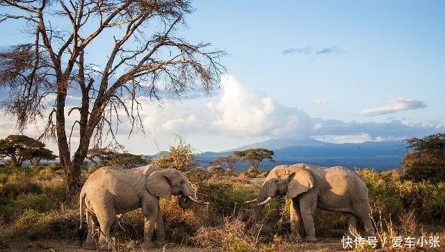  [非洲]非洲最“费解”的现状，把粮食种子当饭吃？还好中国人“