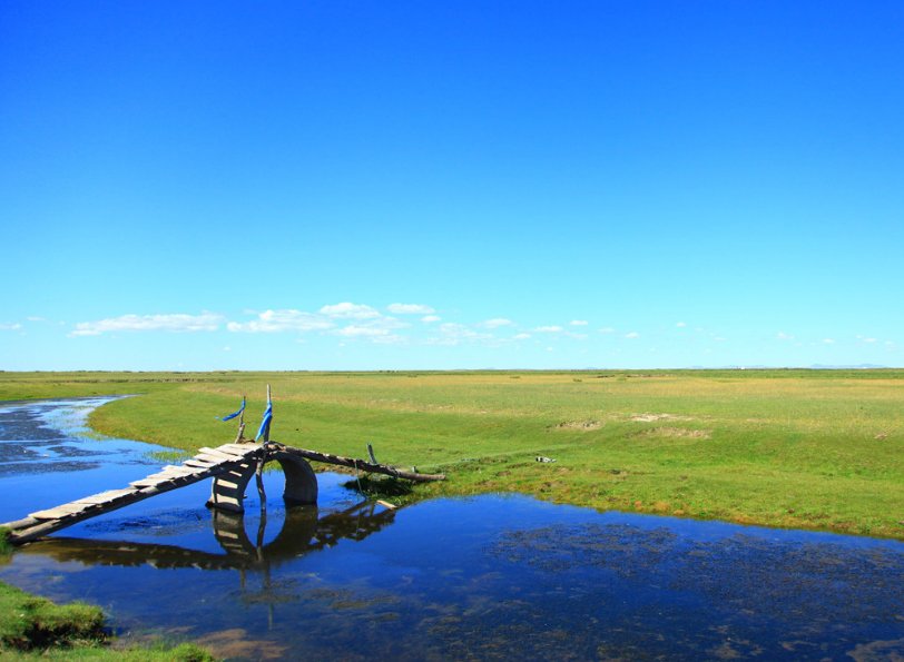  [树木]3个原因告诉你，为啥草原上树木稀疏，草却长得茂盛！
