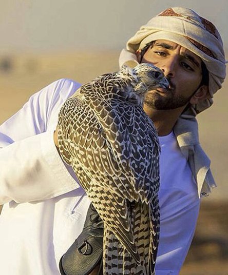 迪拜二皇子,他的帅是全球公认的