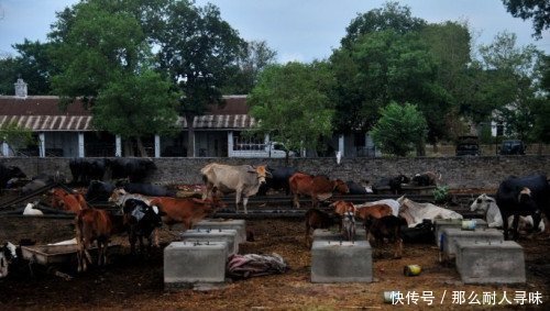  「待遇」巴基斯坦火车站，中国人这待遇，老外很眼红，甚至巴国