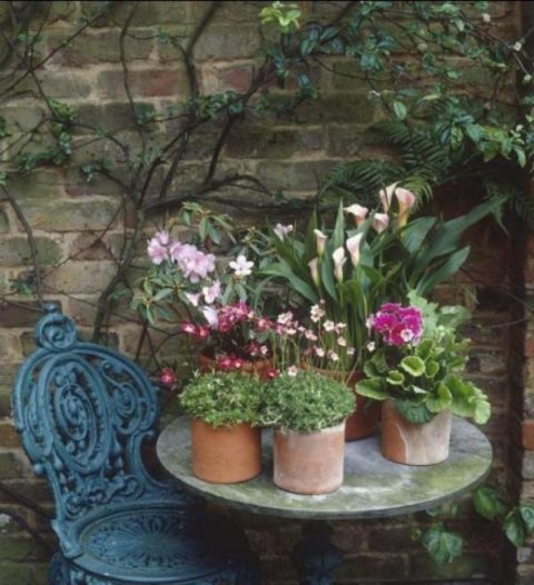 庭院不需太奢华，或一盆花，或一个老物件就能让庭院惬意起来