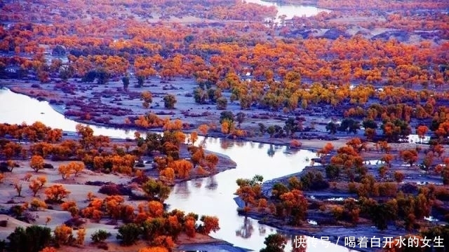 新疆醉美5大胡杨林，简直驶入童话世界，这份攻略请收下！