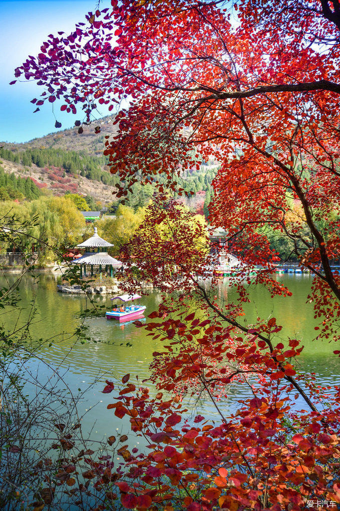 红遍万山的红叶谷【2020热门旅游景点】