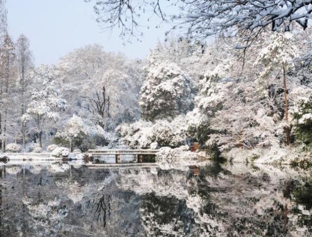 下着雪的苏州，一夜间美成了姑苏，给你一个白色的江南