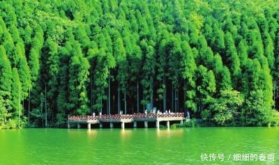 广元避暑胜地，让你清凉一夏