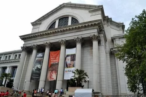 世界最大博物馆群公开280万高清大图，包括洛神赋、二羊图