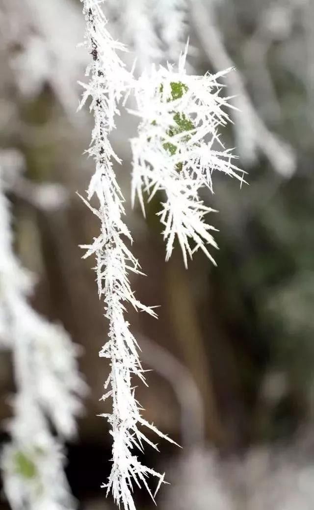 汉中汉江源雪景惹人醉，冬季赏雪不思归