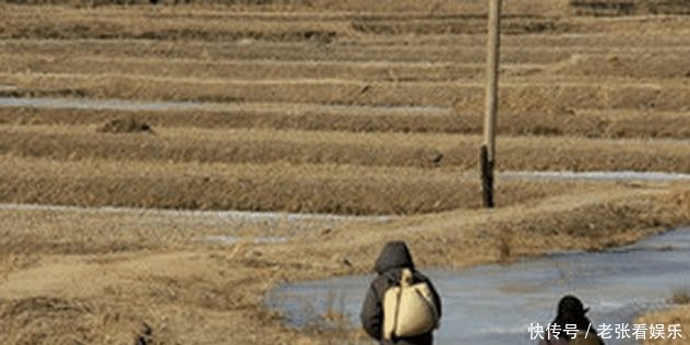 朝鲜农村像极了我们的80年代