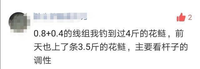  最多■0.4的子线最多能钓多大的鱼结果让你意想不到