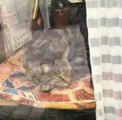 巴黎胡同里的花花世界