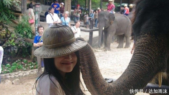 男子在泰国旅游，偶遇美女迎面递来顶草帽，导游大喊：不要伸手！