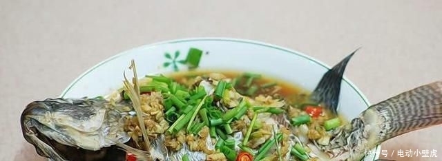  #非洲#河里的“非洲鲫鱼”成灾，一两斤一条，却黑得吓人，能吃吗？