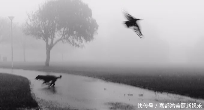 摄影师■对摄影师而言,摒弃色彩会让视觉效果更加纯粹