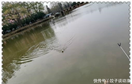  『大草』金圭鲤干上大草，顾不及断线跑鱼