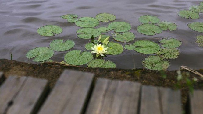 风景尽在云深处，驾RAV4荣放游石门国家森林公园