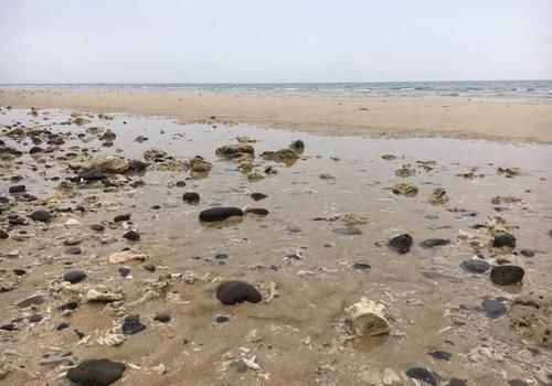 中国海鲜最便宜的城市，景色海滩不输三亚，游客：不想去第二次