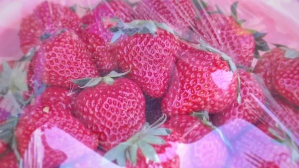 “今日小雪” ，你期盼的那场雪何时到来？