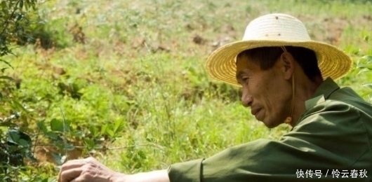  【电视】怎么电视里的农民干啥都能致富，自己弄就赔钱？老农道