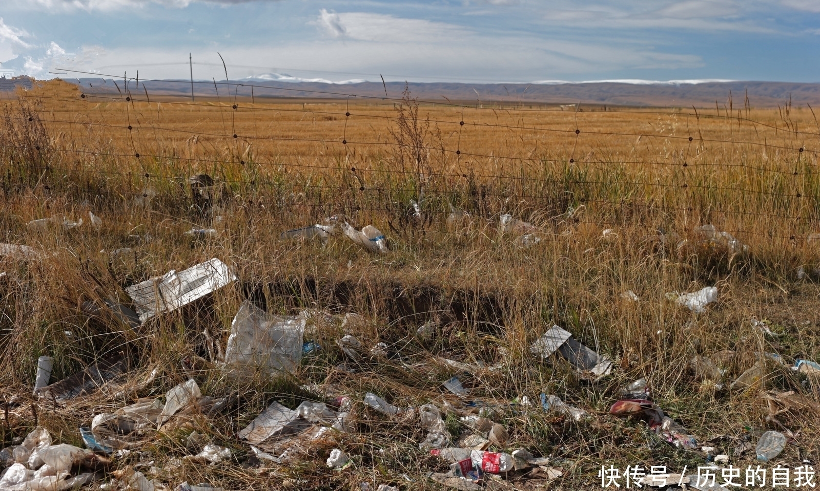  「湖泊」八百里“借水”将荒野变成湖泊，只用十六年，中国再一
