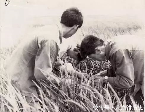  #下乡#知青下乡老照片，记录了一个波澜壮阔的年代