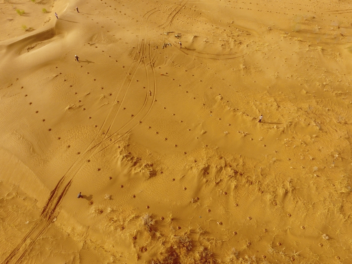 中国式奇迹：村民在电站养鸡羊，比上海大3倍的沙漠1/3变成绿洲