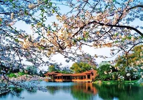 中国十大城市排名！结果大吃—惊！