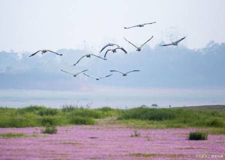  『鄱阳湖』中国“最低调”的省，旅游资源丰富，很多人连它省会都没听过