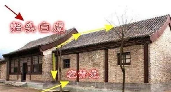 农村俗语“不怕青龙高万丈，就怕白虎抬头望”，背后有什么真谛