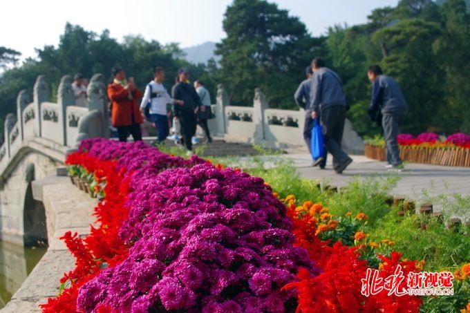 【我们的节日重阳】北京市属公园赠老人万张“福”“寿”画