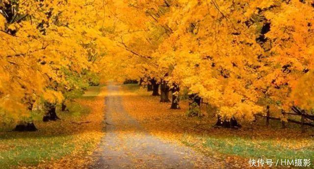 俄罗斯最美的秋天,如同一幅精美的画卷