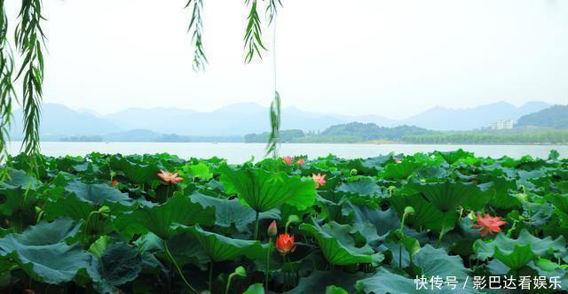  「潜力」长沙无缘落榜，中国最有潜力的4个新一线城市，你家乡上