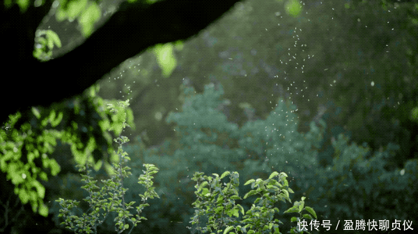 这部纪录片央视发力了,每一帧都可以当壁纸,BBC也无法超越