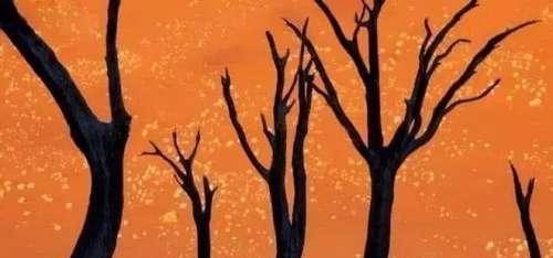 20张不可思议的照片，证明大自然无所不能！