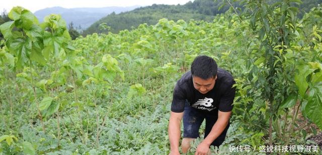  新房：40岁夫妻靠养蚕发家，花100万建养猪场，自己却舍不得盖新