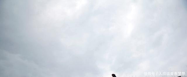 她身价百万，却返乡独住无人山坡，两年后乡亲刮目相看