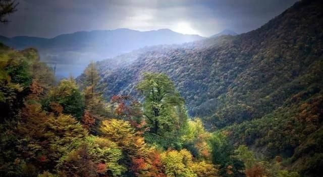 好消息！军运会期间神农架、九宫山等景区对武汉市民免门票