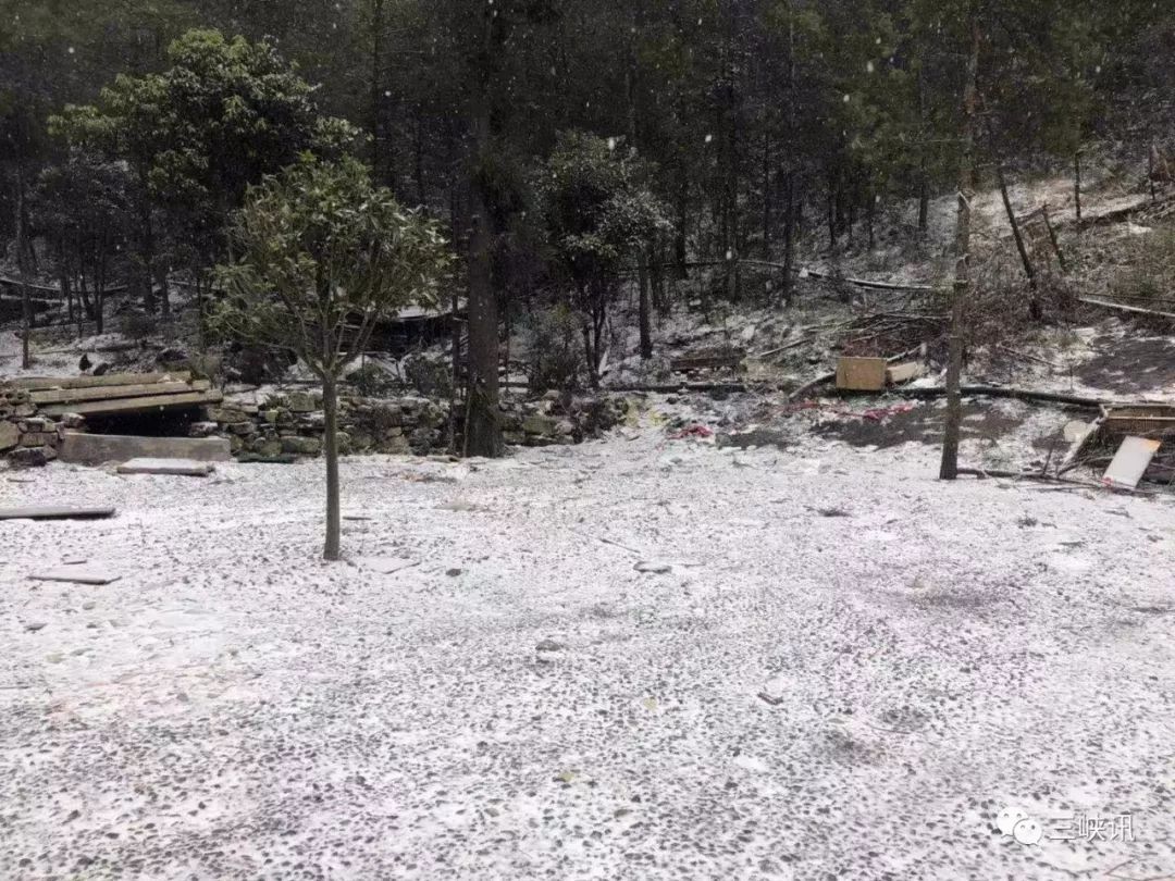 很冷，但也很美！今天重庆多地迎来降雪，你那里下雪了么