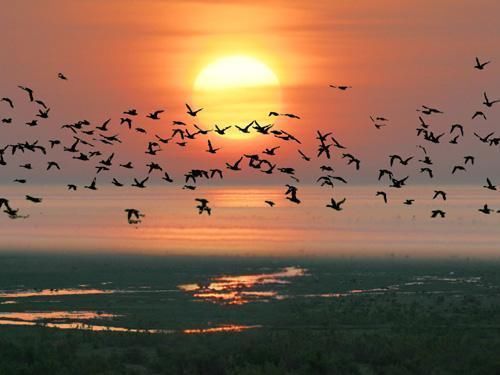  #生态#价值1万亿的咸水湖，却是中国西部沙尘暴源头之一，生态问